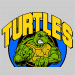 TURTLES-TEMP-08