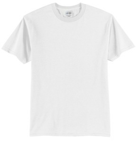 Port & Company 50/50 Cotton/Poly T-Shirt-PC55