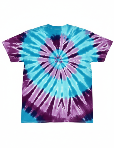 Back view of Multicolor Tie-Dyed T-Shirt