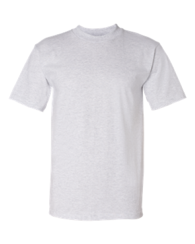 Short Sleeve T Shirt in Ash