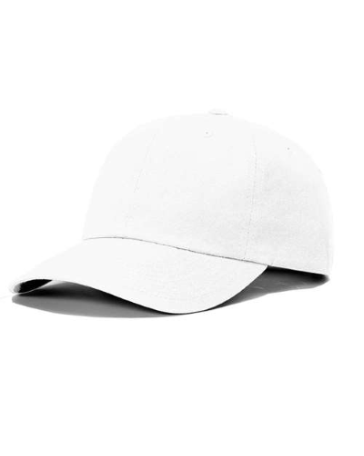 Ashland Recycled Dad Cap