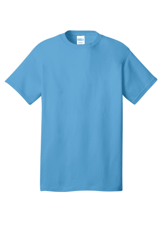 Port & Company 5.4-oz 100% Cotton T-Shirt in Aquatic Blue