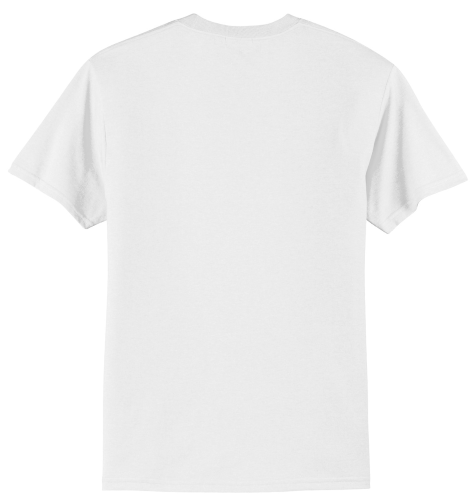 Back view of Adult Sachem Soccer T-Shirt