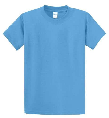 $ - Port & Company Essential T-Shirt Image