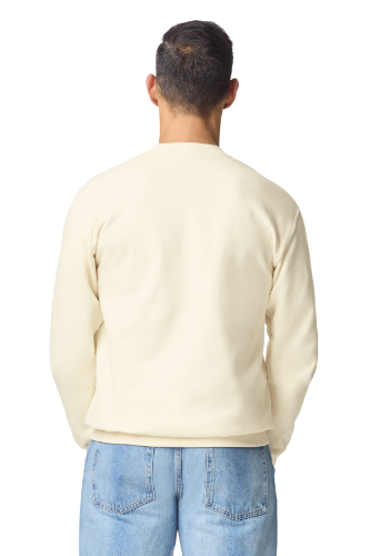 Back view of SF008