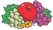 Fruit of the Loom